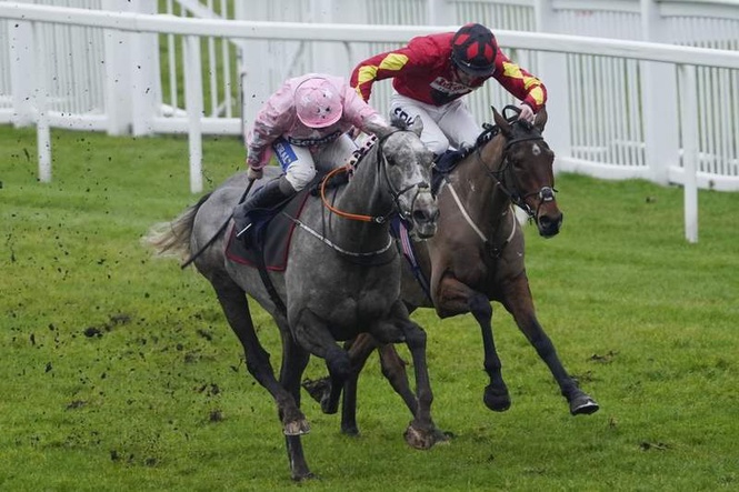 Image from: Royal Windsor Horse Show tragedy as service person dies after falling from horse
