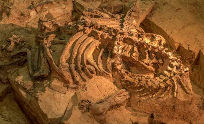 Image from: Scientists Dig Up A 90-foot Giant Dinosaur In Thailand That Could Crush Four Elephants
