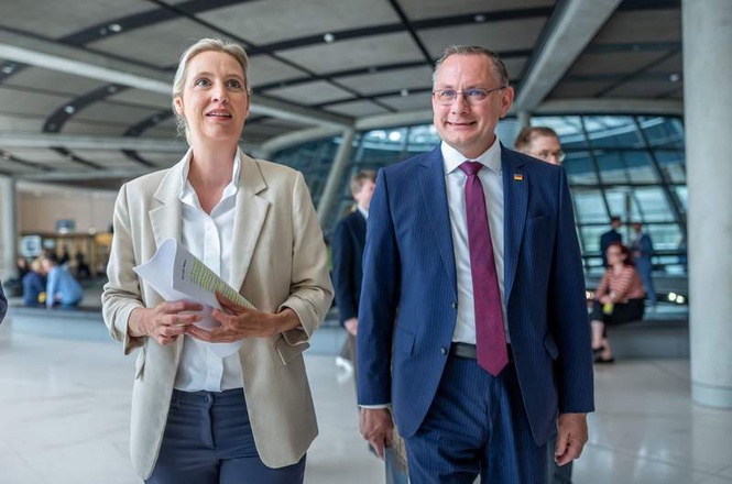Image from: German far-right party hits record 29% in national poll