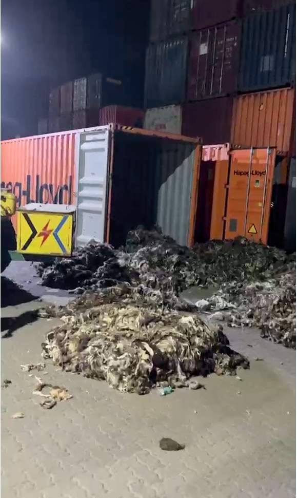 Image from: NCB seizes Rs 182-cr ‘jihadi drug’ in first-ever bust under Operation Ragepill