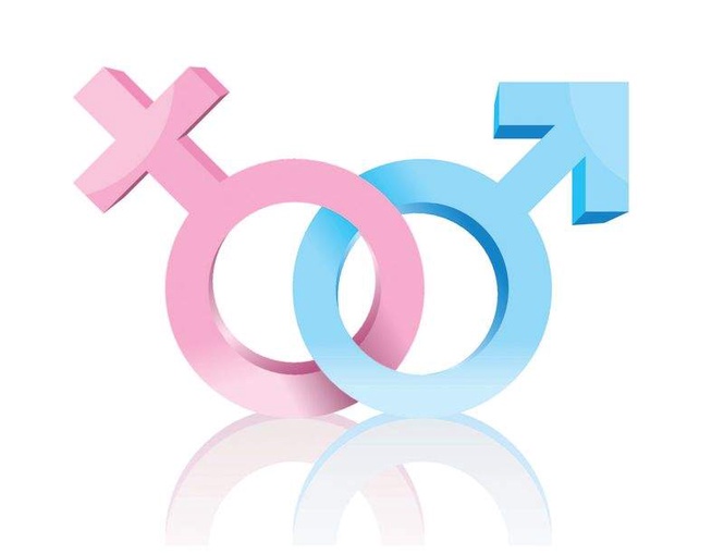 Image from: 14 of Punjab’s 23 districts see decline in gender ratio; Malwa worst-hit