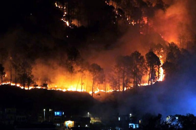 Image from: Himachal: 66 cases so far, heavy May rainfall dampens forest fire threat