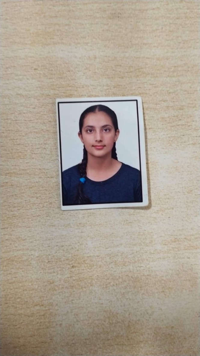 Image from: Chandigarh girl Leza wins gold medal in taekwondo