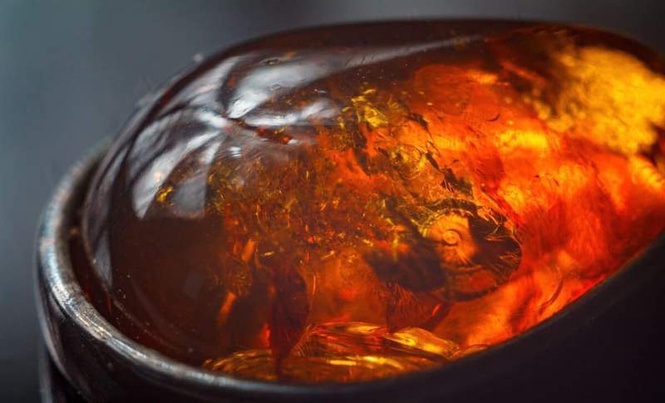 Image from: Scientists Discover 100-Million-Year-Old Fossil Tiny Creature Trapped in Amber with Claws Seen Only Four Times in Insects