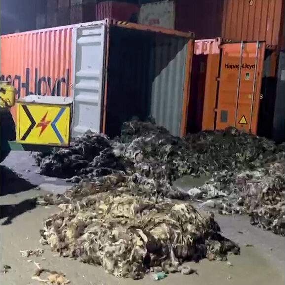 Image from: Narco-terror: Captagon seizure shows enormity of the menace