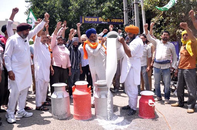 Image from: Dairy farmers spill milk outside DC office in protest of ‘open sale’ of fake products