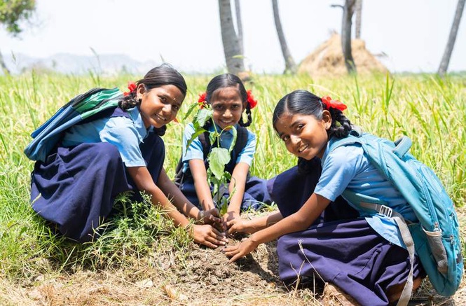 Image from: GREEN INDIA MISSION (GIM)