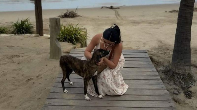 Image from: A couple's holiday in Peru takes a completely unexpected turn