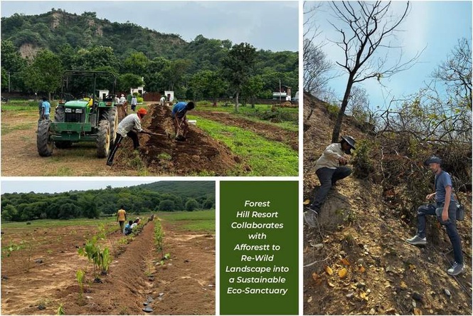 Image from: Forest Hill Resort (FHR) Collaborates with Afforestt to Re-Wild Landscape into a Sustainable Eco-Sanctuary