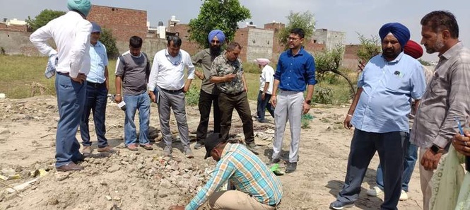 Image from: Illegal tree felling in Barnala: Officials’ names crop up, but police file FIR against unidentified persons