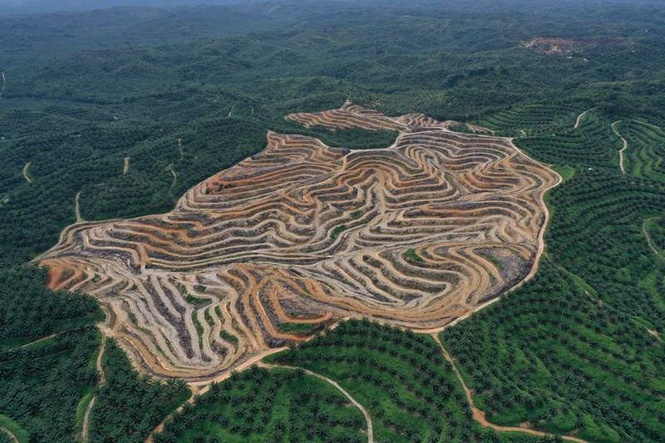Image from: We reviewed 48 ‘low carbon’ projects and found they were becoming part of the fossil fuel problem
