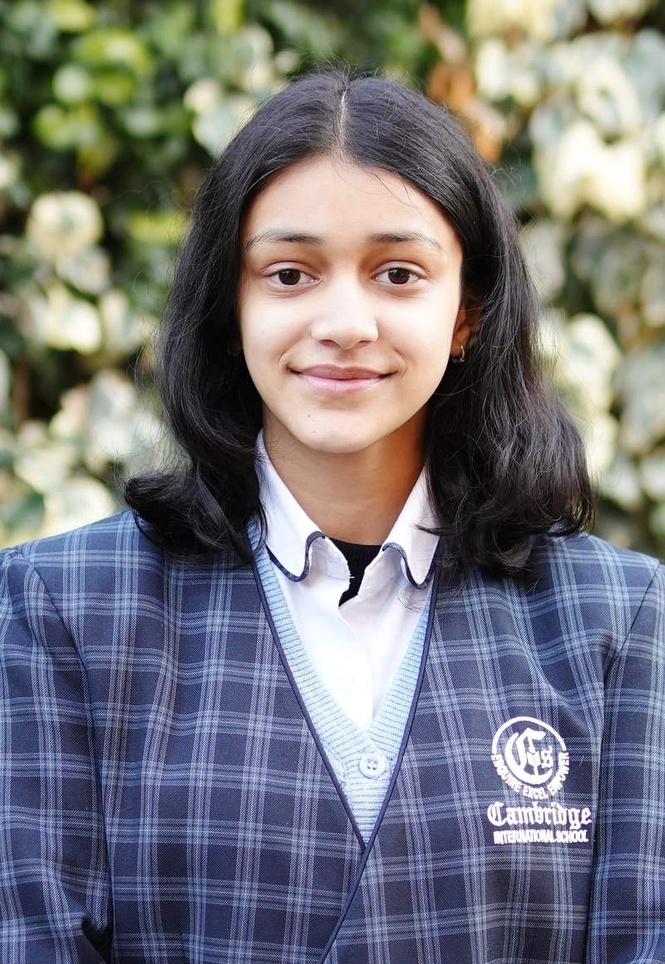 Image from: Kullu school student to represent dist at national event in Gujarat