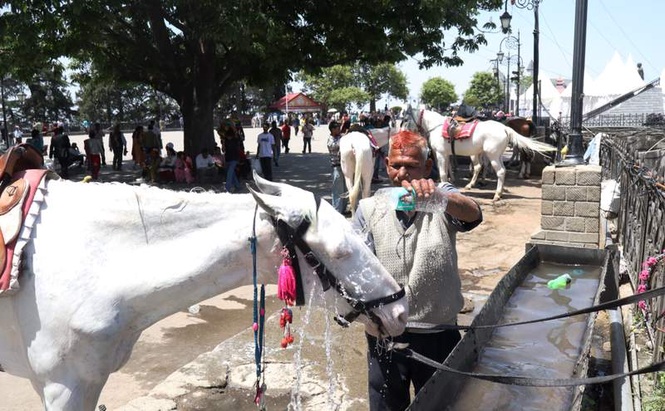 Image from: Shimla breaches 30°C mark, heatwave warning for today