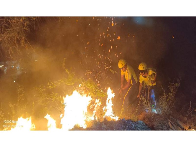 Image from: Uttarakhand: Forest fire near Basugaon doused off in joint operation by SDRF, NDRF, Forest dept and Fire service