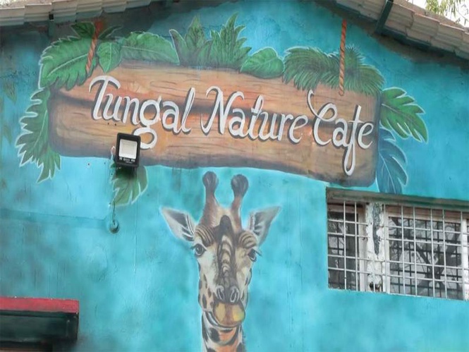 Image from: Brewing change in Bastar: Former women Naxals begin new life at Sukma's Tungal Natures Cafe