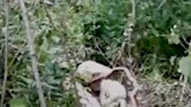 Image from: Walker spots strange figure in the woods, sending shivers down his spine