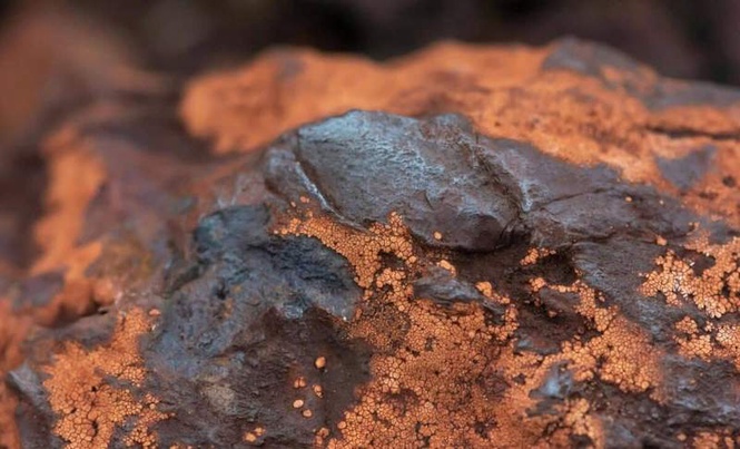 Image from: Researchers Examining a Meteorite Fragment Discovered Strange Microfossils Buried Deep Inside