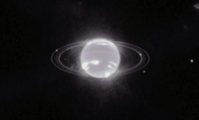 Image from: Neptune’s Mysterious Moon May Be A Rare Survivor Of The Solar System’s Early Chaos