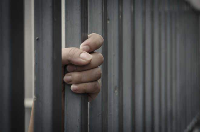Image from: Hit-and-run case: Indian-origin delivery driver jailed for over 11 years in UK