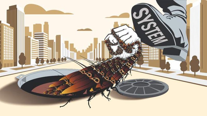 Image from: The cockroach has spoken. India should listen