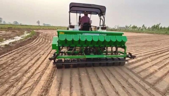 Image from: Why Agriculture Department is increasing coverage under DSR in Haryana