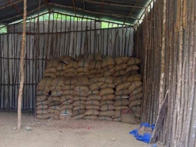 Image from: DRI seizes 60,000 kg of smuggled foreign-originated areca nuts in North-East region; 5 held