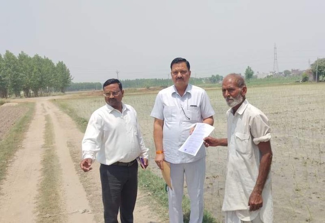 Image from: Yamunanagar Agriculture Department issues notices to farmers over early paddy transplantation