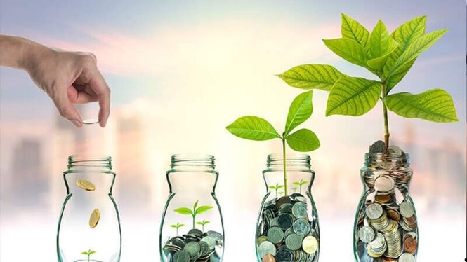 Image from: Growth funds: A long-term investment perspective