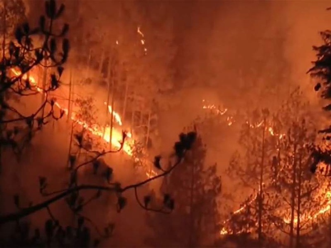 Image from: Massive forest fire erupts in Uttarakhand's Tehri Garhwal