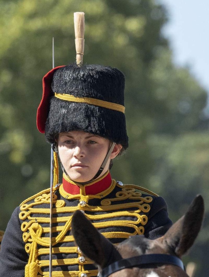 Image from: Royal Windsor Horse Show faces calls to review safety protocols after soldier’s death