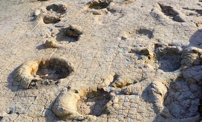 Image from: Giant Dinosaur Footprints in Mongolia Reveal a Lost Predator-And-Prey Scene Sealed Away for 120 Million Years