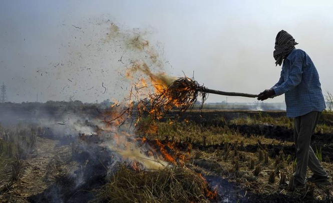 Image from: Haryana Agriculture Department takes strict action against 6 farmers in connection with cases of stubble burning
