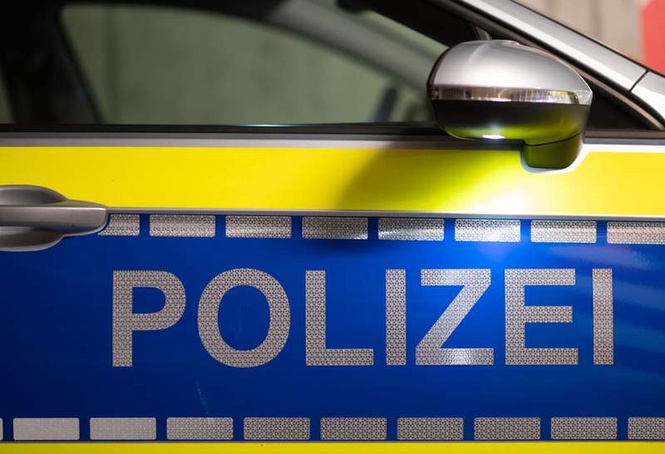 Image from: Man rescued from Munich zoo bison enclosure after shoe mishap