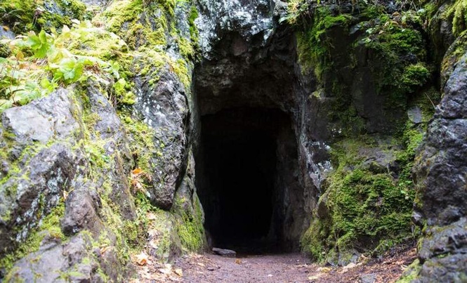 Image from: Scientists Entered a New Zealand Cave and Uncovered 1 Million-Year-Old Fossils of Mysterious Species
