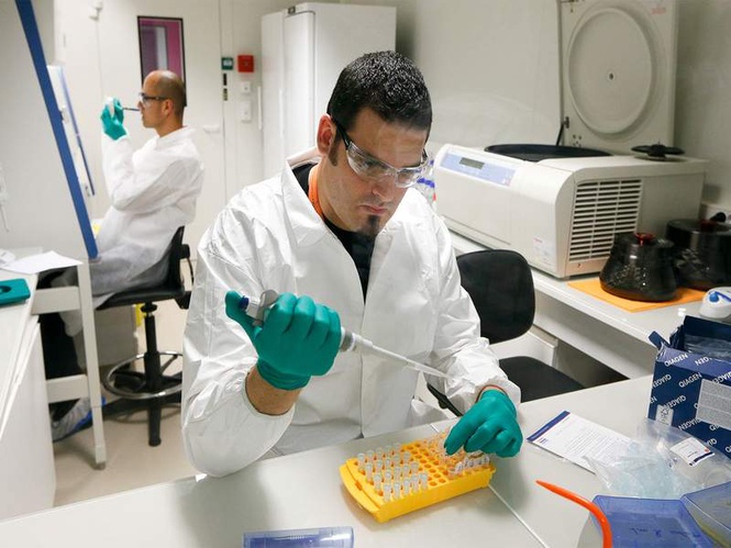 Image from: Scientists discover why some DNA-doubled cells don’t die: Study