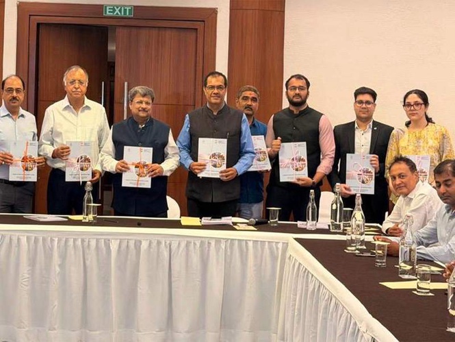 Image from: Anti-dumping duties can help India save Rs 28,540 crore annually: C-DEP report