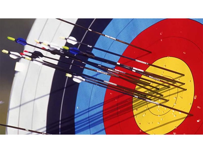 Image from: Veteran Indian Olympian archer Shyam Lal Meena dies at 61