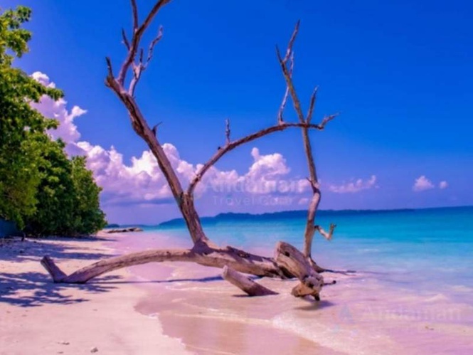 Image from: Andaman Travel Care Recognized for Customized Andaman Tour Packages and Honeymoon Travel Experiences