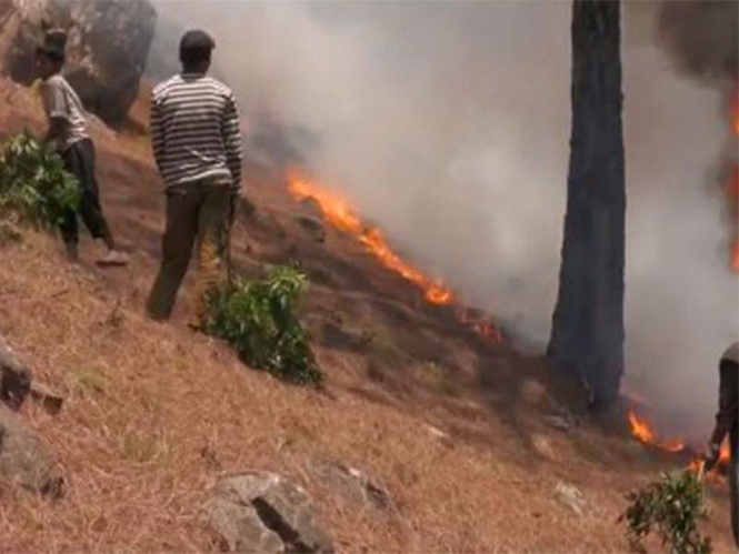 Image from: J-K: Forest fire continues to rage in Udhampur's Narthan area for three days, firefighting efforts underway