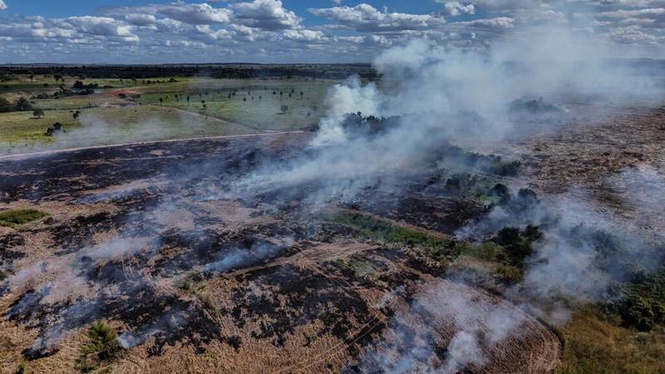 Image from: Deforestation in Brazilian Amazon falls to lowest level since 2019