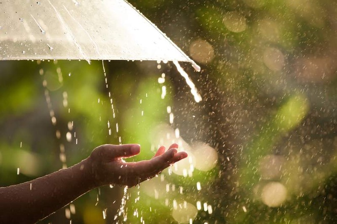 Image from: Delhi-NCR weather alert: Pre-monsoon showers to bring sharp temperature drop by May 29