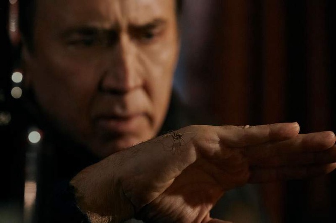 Image from: 'Spider-Noir' review: Nicolas Cage soars as a gruff old Spider-Man