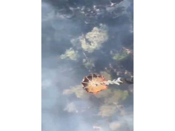 Image from: Himachal: IAF choppers deploy 'Bambi buckets' to combat Kasauli forest fires