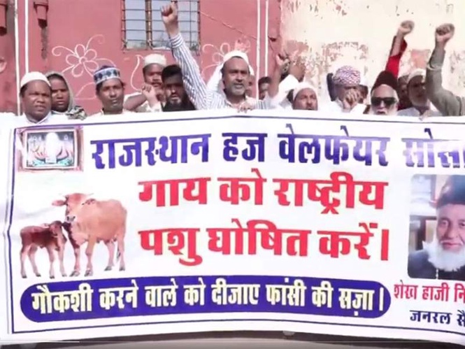Image from: Rajasthan Hajj Welfare Society members demand cow be declared National Animal