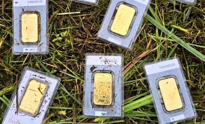 Image from: A Town Worker Accidentally Found Gold Worth 40,000 Euros While Mowing the Lawn