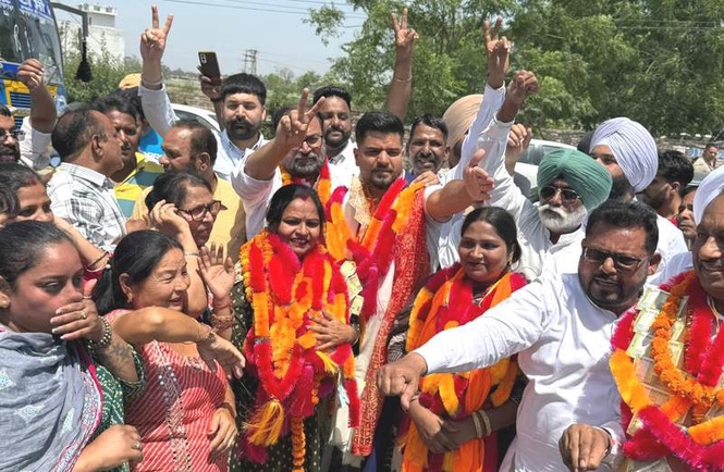 Image from: AAP sweeps civic polls across Jalandhar district; secures 49 out of 99 wards