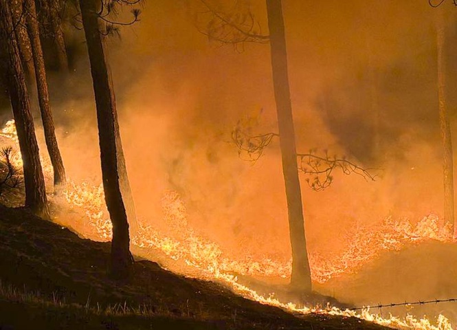 Image from: Massive forest fire in Poonch; locals help bring flames under control