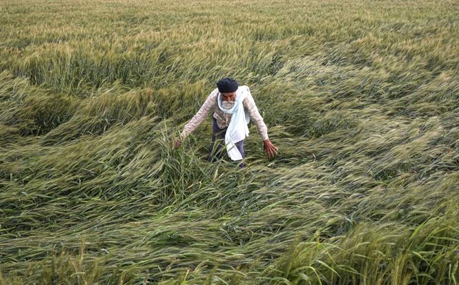 Image from: Parliamentary agriculture panel begins study tour of Srinagar, Ludhiana, Chandigarh, Shimla