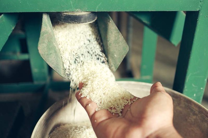 Image from: Team set up to verify quality of rice at two mills in Karnal dist