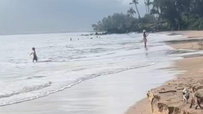 Image from: Two unlikely stars go viral, after millions watch their stroll on the beach